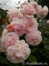 A Shropshire Lad A Shropshire Lad