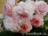 A Shropshire Lad A Shropshire Lad