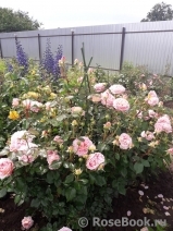 Abraham Darby Abraham Darby