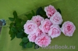 Frederic Mistral® Frederic Mistral®