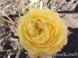 Gartenspass ® Gartenspass ®