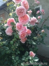Abraham Darby Abraham Darby