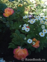 Gartenspass ® Gartenspass ®