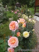 Abraham Darby Abraham Darby
