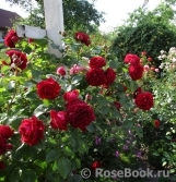 Highgrove Highgrove
