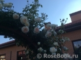 Mon Jardin et Ma Maison Mon Jardin et Ma Maison
