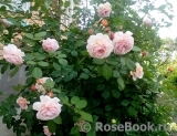 A Shropshire Lad A Shropshire Lad