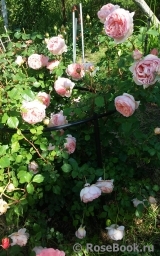 Abraham Darby Abraham Darby
