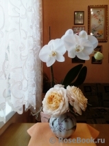 COMPOSITION COMPOSITION