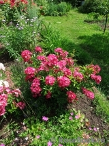 Marjorie Fair ® Marjorie Fair ®