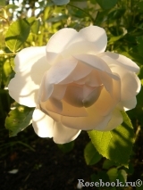 Glamis Castle® Glamis Castle®