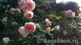 Abraham Darby