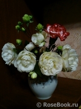 COMPOSITION COMPOSITION