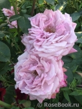 Lugdunum Lugdunum