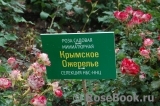 Krymskoe ozherel'e Крымское Ожерелье Krymskoe ozherel'e Крымское Ожерелье
