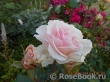 Johann Strauss Johann Strauss