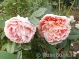 Abraham Darby Abraham Darby