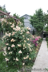 Crown Princess Margareta® Crown Princess Margareta®