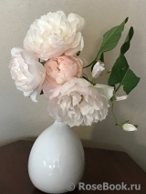Generous Gardener, The Generous Gardener, The