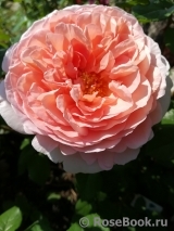 Abraham Darby Abraham Darby