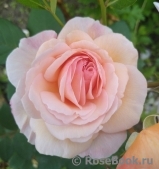 A Shropshire Lad A Shropshire Lad
