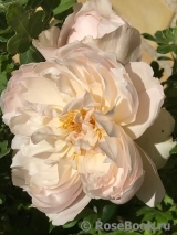 Generous Gardener, The Generous Gardener, The