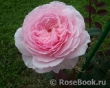 A Shropshire Lad A Shropshire Lad