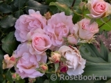 Johann Strauss Johann Strauss