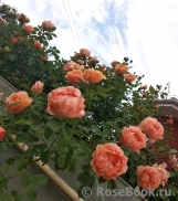 Sonnenwelt Sonnenwelt
