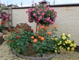 Baronesse Baronesse