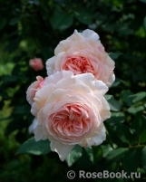 A Shropshire Lad A Shropshire Lad