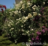Mon Jardin et Ma Maison Mon Jardin et Ma Maison