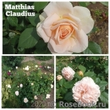 Matthias Claudius ® Matthias Claudius ®