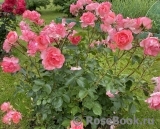 Jardins de France 