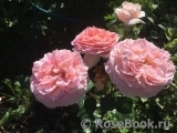 Abraham Darby Abraham Darby