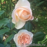 Matthias Claudius ® Matthias Claudius ®