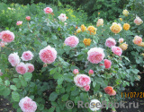 Abraham Darby Abraham Darby
