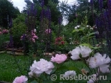 Scarborough Fair Scarborough Fair