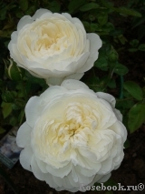 Glamis Castle® Glamis Castle®