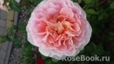 Abraham Darby Abraham Darby