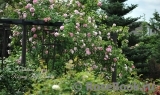 Constance Spry Constance Spry