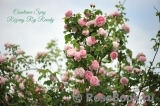 Constance Spry Constance Spry