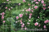 Constance Spry Constance Spry