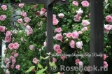 Constance Spry Constance Spry