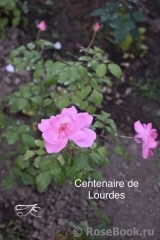 Centenaire de Lourdes Centenaire de Lourdes