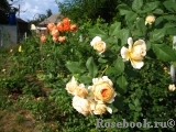 Crown Princess Margareta® Crown Princess Margareta®