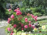 Rosarium Uetersen Rosarium Uetersen