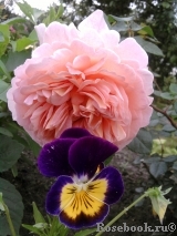 Abraham Darby Abraham Darby
