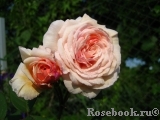 A Shropshire Lad A Shropshire Lad