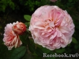 A Shropshire Lad A Shropshire Lad